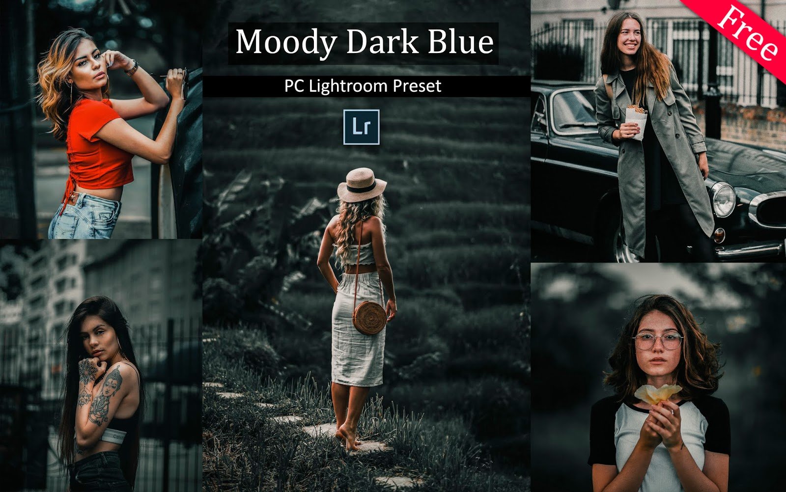 lightroom presets free download