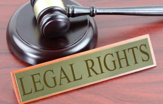 Legal Rights 101: What Every Client Should Know