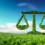 Facing Environmental Harm? Get Legal Aid from a Toxic Tort Lawyer