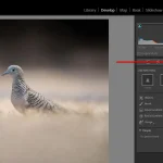 10 Lightroom Tricks of 2023