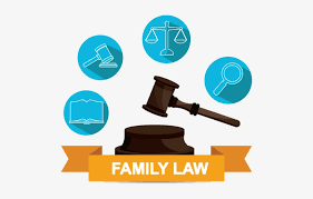 Divorce Attorney or Family Lawyer: Who Do You Need in 2024