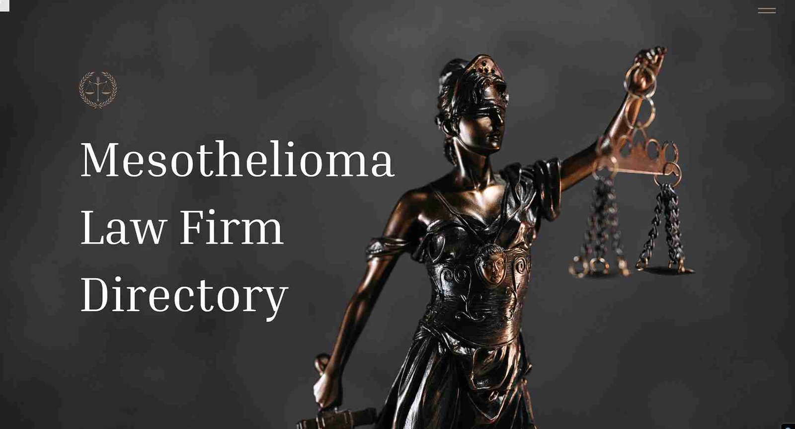 The Ultimate Guide to Mesothelioma Lawyers in 2024