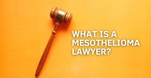 5 Crucial Questions to Ask Your Mesothelioma Lawyer in 2024