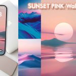 SUNSET PINK Wallpapers