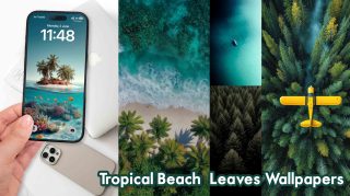 Tropical Beach & Leaves Wallpapers