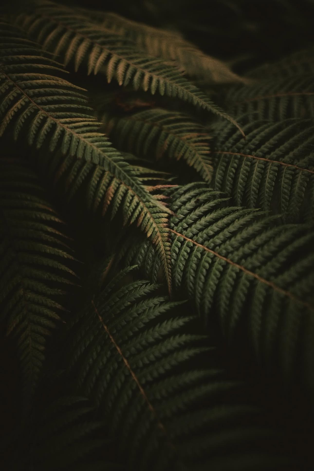46
