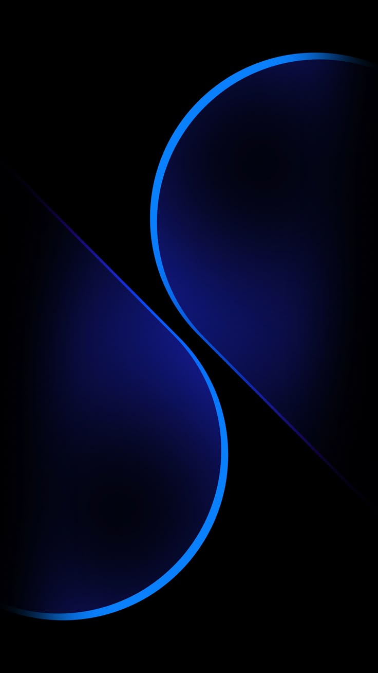 81